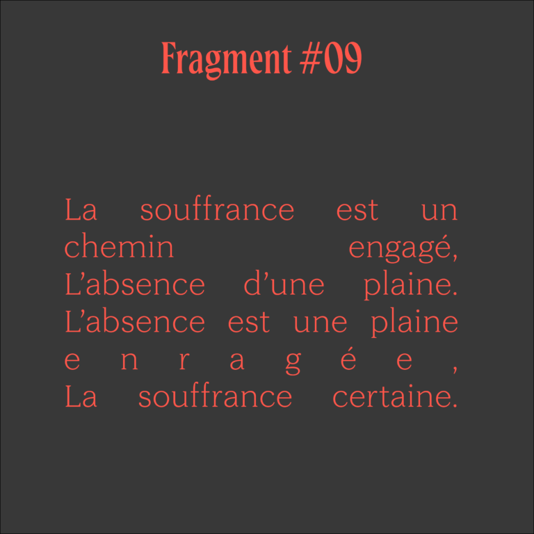 Fragments poésie carrés couleurs-09