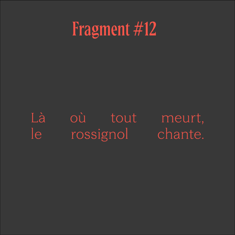 Fragments poésie carrés couleurs-12