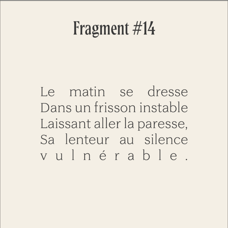 Fragments poésie carrés couleurs-14