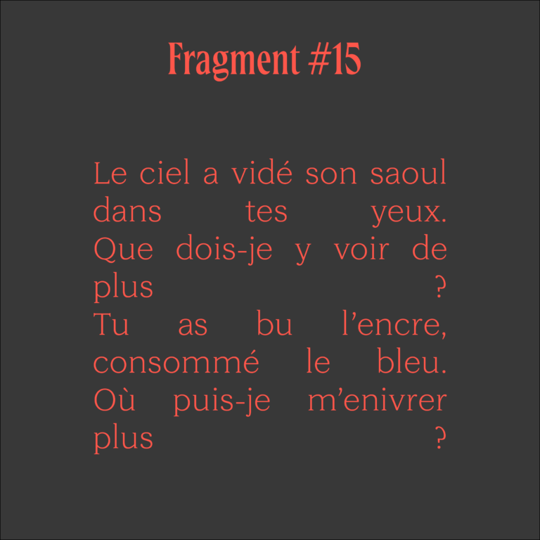 Fragments poésie carrés couleurs-15